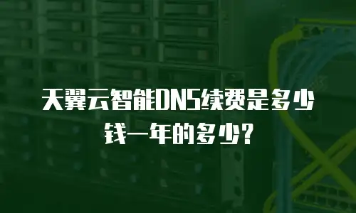 天翼云智能DNS续费是多少钱一年的多少？