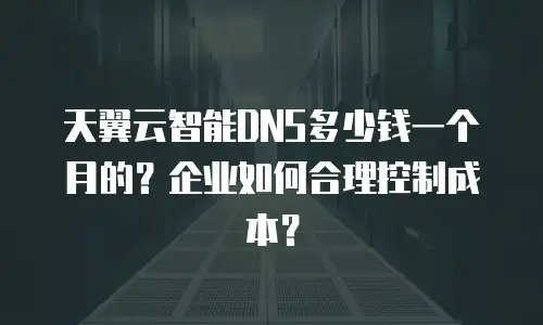 天翼云智能DNS多少钱一个月的？企业如何合理控制成本？