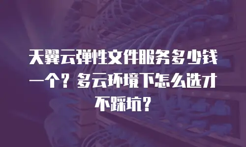 天翼云弹性文件服务多少钱一个？多云环境下怎么选才不踩坑？