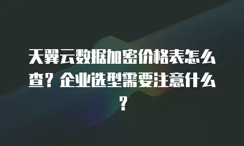 天翼云数据加密价格表怎么查？企业选型需要注意什么？