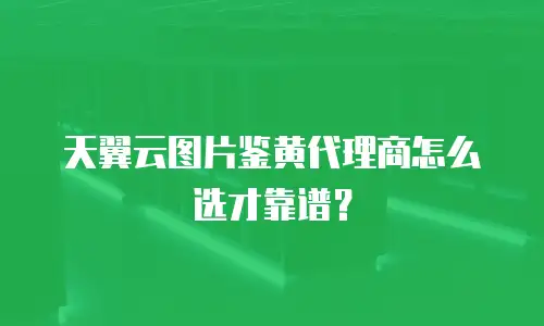 天翼云图片鉴黄代理商怎么选才靠谱？