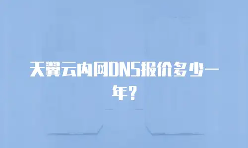 天翼云内网DNS报价多少一年？