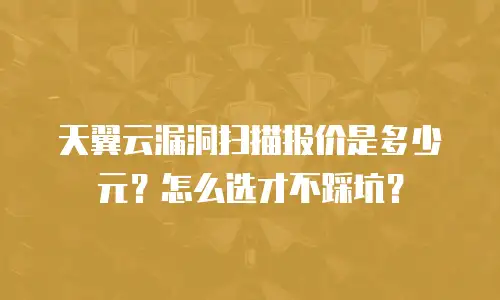 天翼云漏洞扫描报价是多少元？怎么选才不踩坑？