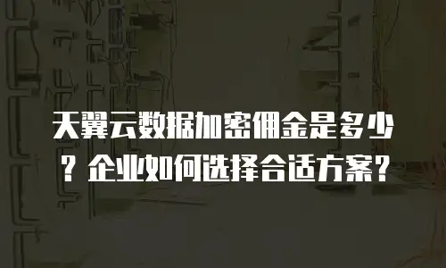 天翼云数据加密佣金是多少？企业如何选择合适方案？