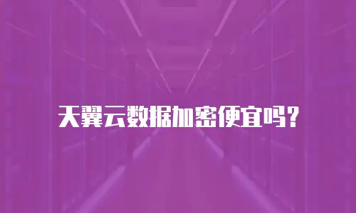 天翼云数据加密便宜吗？