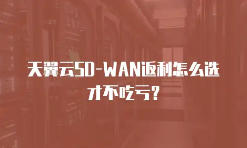 天翼云SD-WAN返利怎么选才不吃亏？