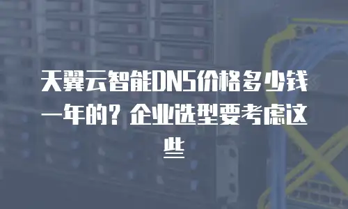 天翼云智能DNS价格多少钱一年的？企业选型要考虑这些