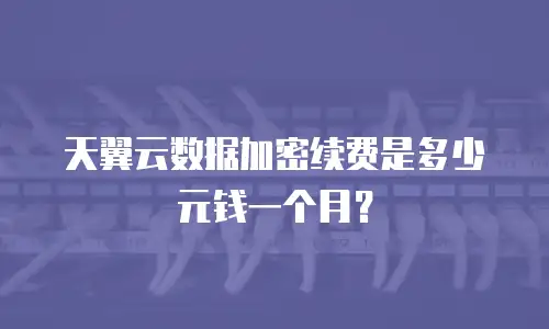 天翼云数据加密续费是多少元钱一个月？