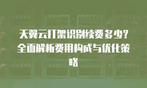 天翼云打架识别续费多少？全面解析费用构成与优化策略