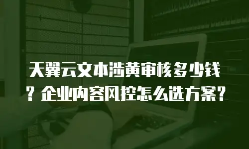 天翼云文本涉黄审核多少钱？企业内容风控怎么选方案？
