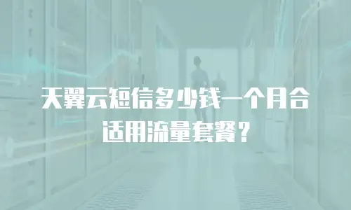 天翼云短信多少钱一个月合适用流量套餐？