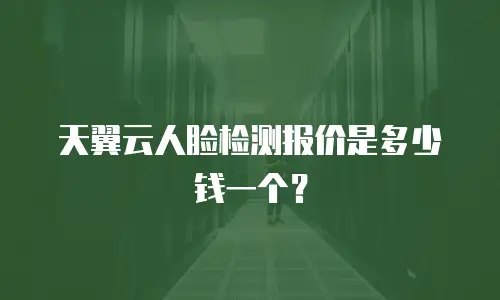 天翼云人脸检测报价是多少钱一个？