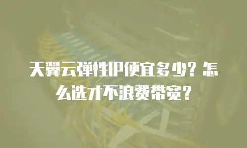 天翼云弹性IP便宜多少？怎么选才不浪费带宽？