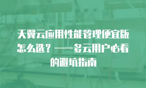 天翼云应用性能管理便宜版怎么选？&mdash;&mdash;多云用户必看的避坑指南