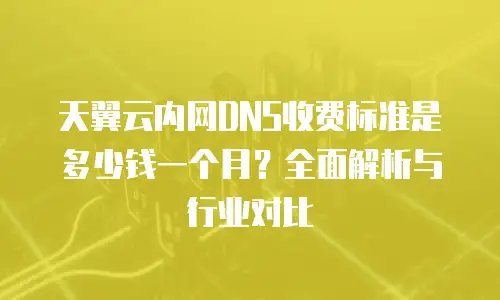 天翼云内网DNS收费标准是多少钱一个月？全面解析与行业对比