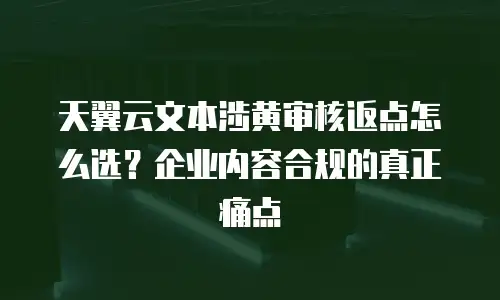 天翼云文本涉黄审核返点怎么选？企业内容合规的真正痛点