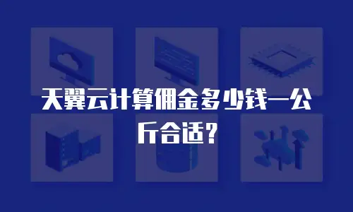 天翼云计算佣金多少钱一公斤合适？