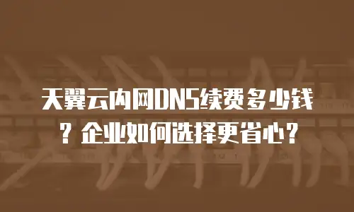 天翼云内网DNS续费多少钱？企业如何选择更省心？