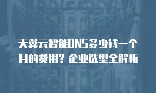 天翼云智能DNS多少钱一个月的费用？企业选型全解析