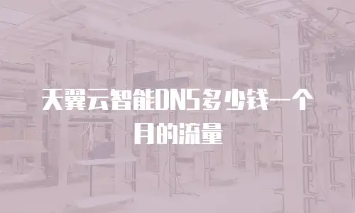 天翼云智能DNS多少钱一个月的流量
