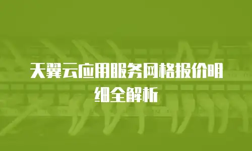 天翼云应用服务网格报价明细全解析