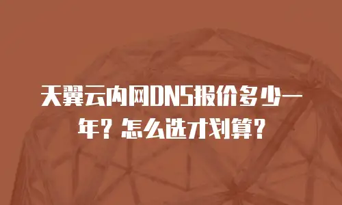 天翼云内网DNS报价多少一年？怎么选才划算？