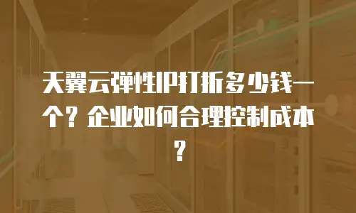 天翼云弹性IP打折多少钱一个？企业如何合理控制成本？