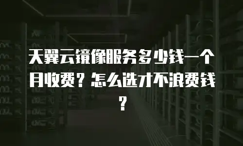 天翼云镜像服务多少钱一个月收费？怎么选才不浪费钱？