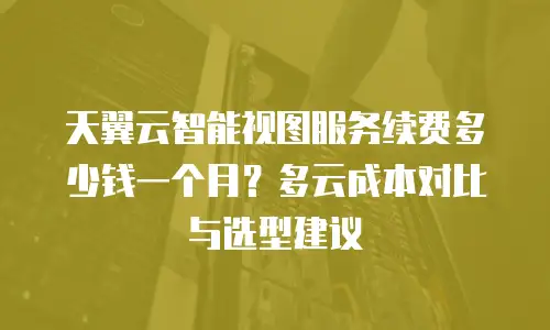 天翼云智能视图服务续费多少钱一个月？多云成本对比与选型建议