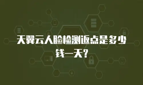 天翼云人脸检测返点是多少钱一天？