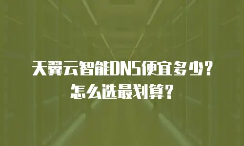 天翼云智能DNS便宜多少？怎么选最划算？