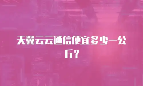 天翼云云通信便宜多少一公斤？