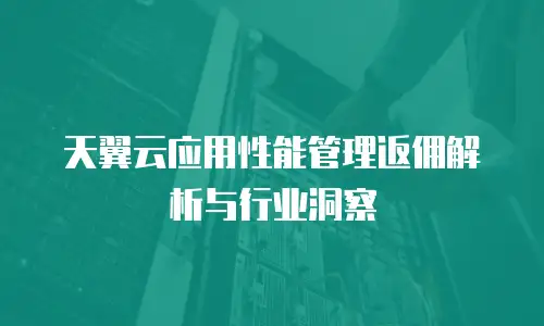 天翼云应用性能管理返佣解析与行业洞察