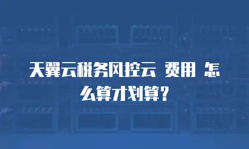 天翼云税务风控云 费用 怎么算才划算？