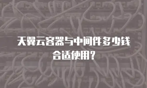 天翼云容器与中间件多少钱合适使用？