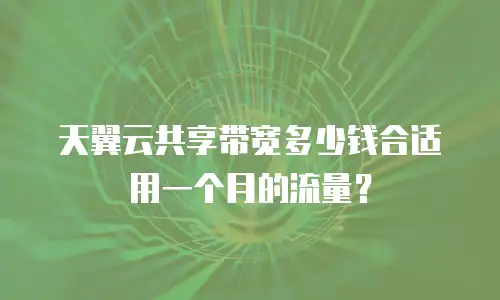 天翼云共享带宽多少钱合适用一个月的流量？