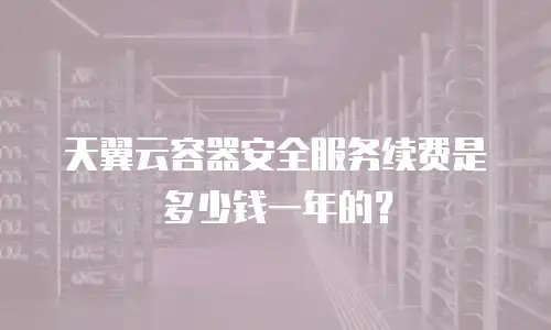 天翼云容器安全服务续费是多少钱一年的？