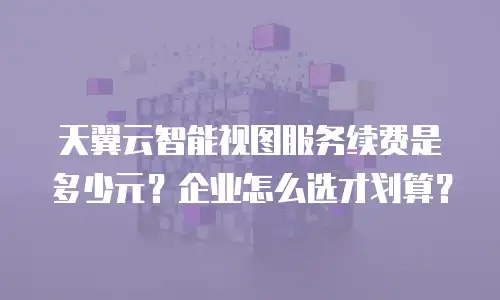 天翼云智能视图服务续费是多少元？企业怎么选才划算？