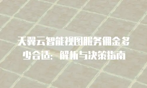 天翼云智能视图服务佣金多少合适：解析与决策指南