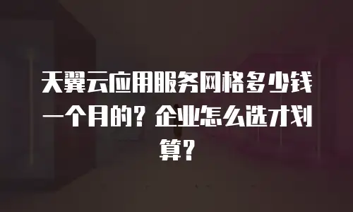 天翼云应用服务网格多少钱一个月的？企业怎么选才划算？