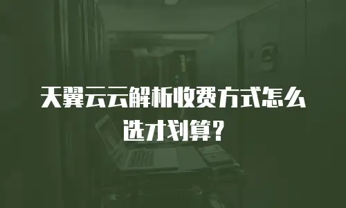 天翼云云解析收费方式怎么选才划算？