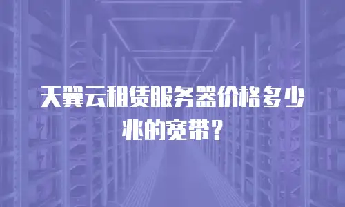 天翼云租赁服务器价格多少兆的宽带？
