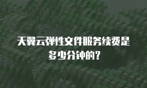 天翼云弹性文件服务续费是多少分钟的？