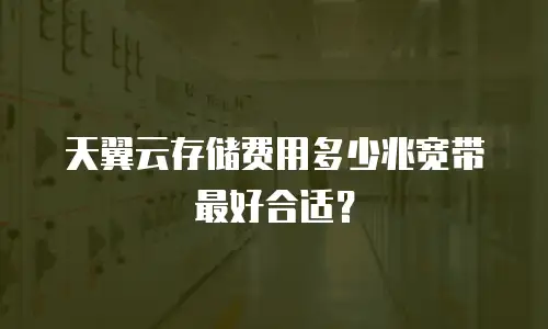 天翼云存储费用多少兆宽带最好合适？