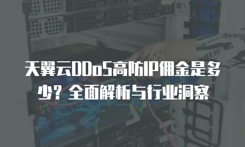 天翼云DDoS高防IP佣金是多少？全面解析与行业洞察