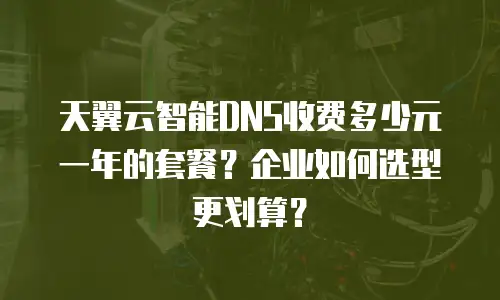 天翼云智能DNS收费多少元一年的套餐？企业如何选型更划算？