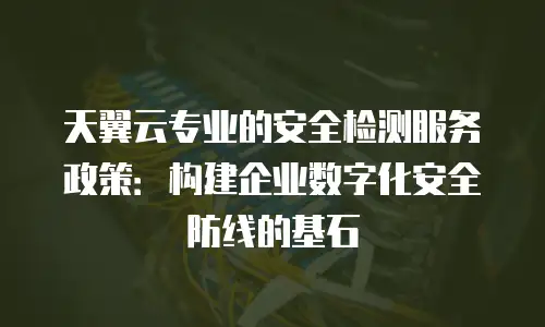 天翼云专业的安全检测服务政策：构建企业数字化安全防线的基石