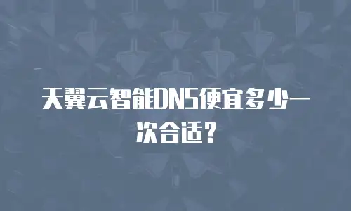 天翼云智能DNS便宜多少一次合适？