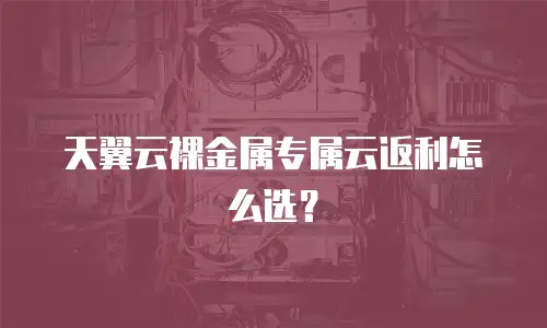天翼云裸金属专属云返利怎么选？