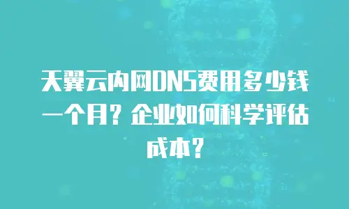 天翼云内网DNS费用多少钱一个月？企业如何科学评估成本？